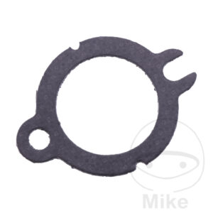 Joint de collecteur (Pièce origine OEM)