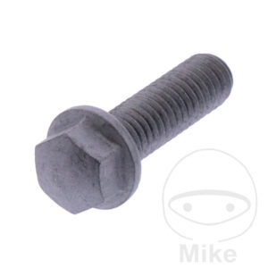 Vis de couvre culasse (Pièces origine) Royal Enfield