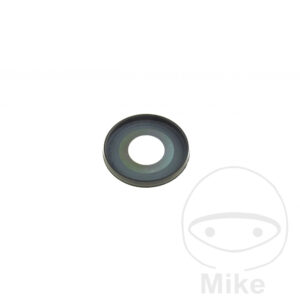 Cache Poussière (Pièce origine)