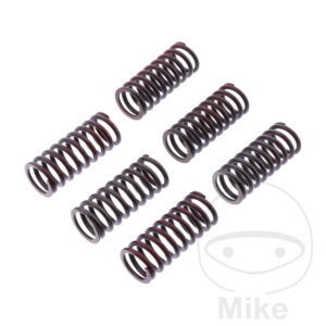 Ressorts d'embrayage renforcés TRW