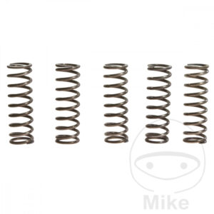 Ressorts d'embrayage renforcés TRW