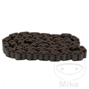 CHAINE DE DISTRIBUTION SANS FIN