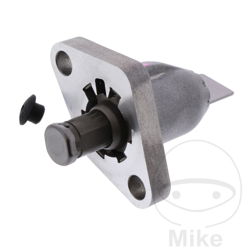 Tendeur de chaîne de distribution (Pièce Tendeur de chaîne de distribution (Pièce