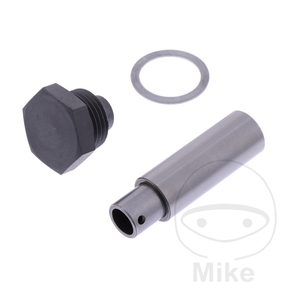 Tendeur de chaîne de distribution (Pièce Tendeur de chaîne de distribution (Pièce