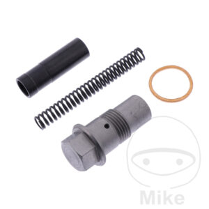 Kit Tendeur de Chaîne de Distribution (P