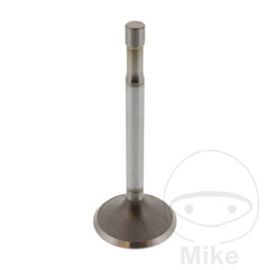 Soupape D'admission Siebenrock