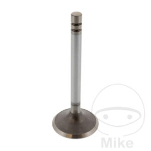 Soupape D'admission Siebenrock