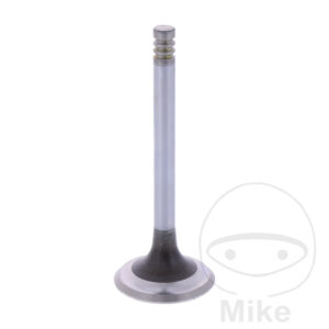 Soupape échappement Siebenrock