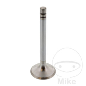 Soupape échappement Siebenrock