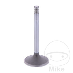 Soupape D'admission Siebenrock