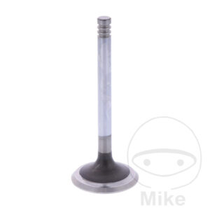 Soupape échappement Siebenrock