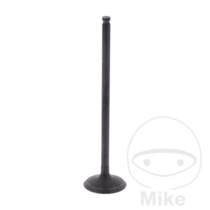 VENT AUSLASS (Pièce origine OEM)