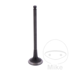 VENT AUSLASS (Pièce origine OEM)