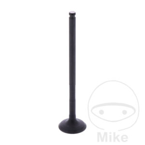 VENT EINLASS (Pièce origine OEM)