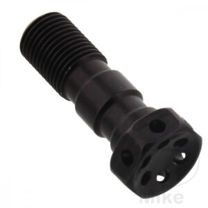 Vis Banjo Double M10 x 1.00