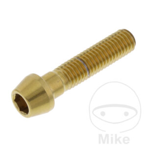 Vis à tête BTR conique