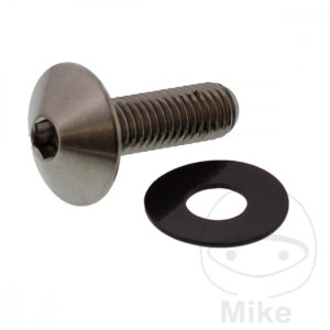 Vis à tête bombée