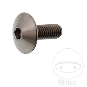 Vis à tête bombée