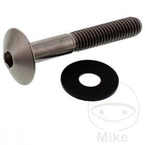 Vis à tête bombée