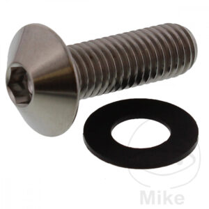 Vis à tête bombée