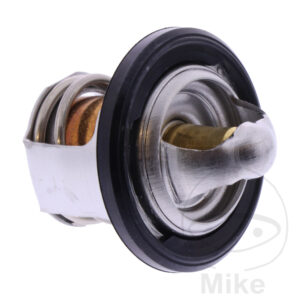 Thermostat (Pièce origine OEM)