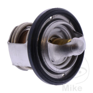 Thermostat (Pièce origine OEM)