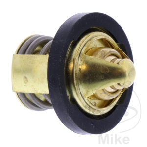 Thermostat (Pièce origine OEM)