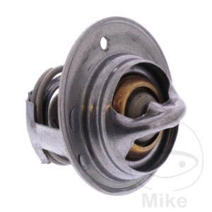 Thermostat (Pièce origine OEM)