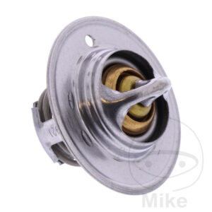 Thermostat (Pièce origine OEM)