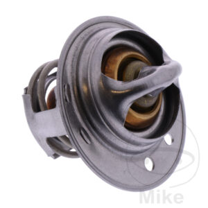 Thermostat (Pièce origine OEM)
