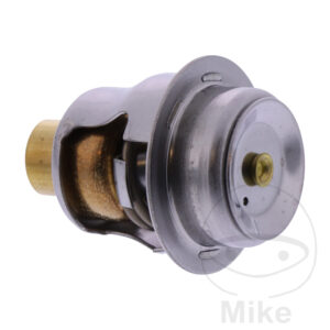 Thermostat (Pièce origine OEM)