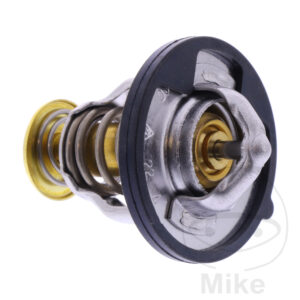 Thermostat (Pièce origine OEM)