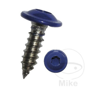 SHEET METAL SCREW WITH FLANGE 4.8X16