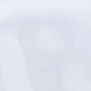 Ecran de protection feu avant R&G RACING translucide BMW R1250R