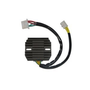 R������gulateur ELECTROSPORT