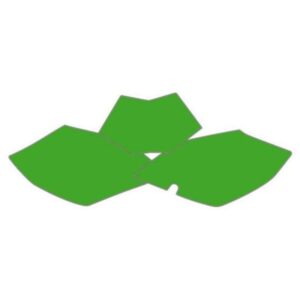 Fonds de plaque BLACKBIRD vert Beta RR